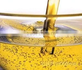 Screw Oil Press Machine