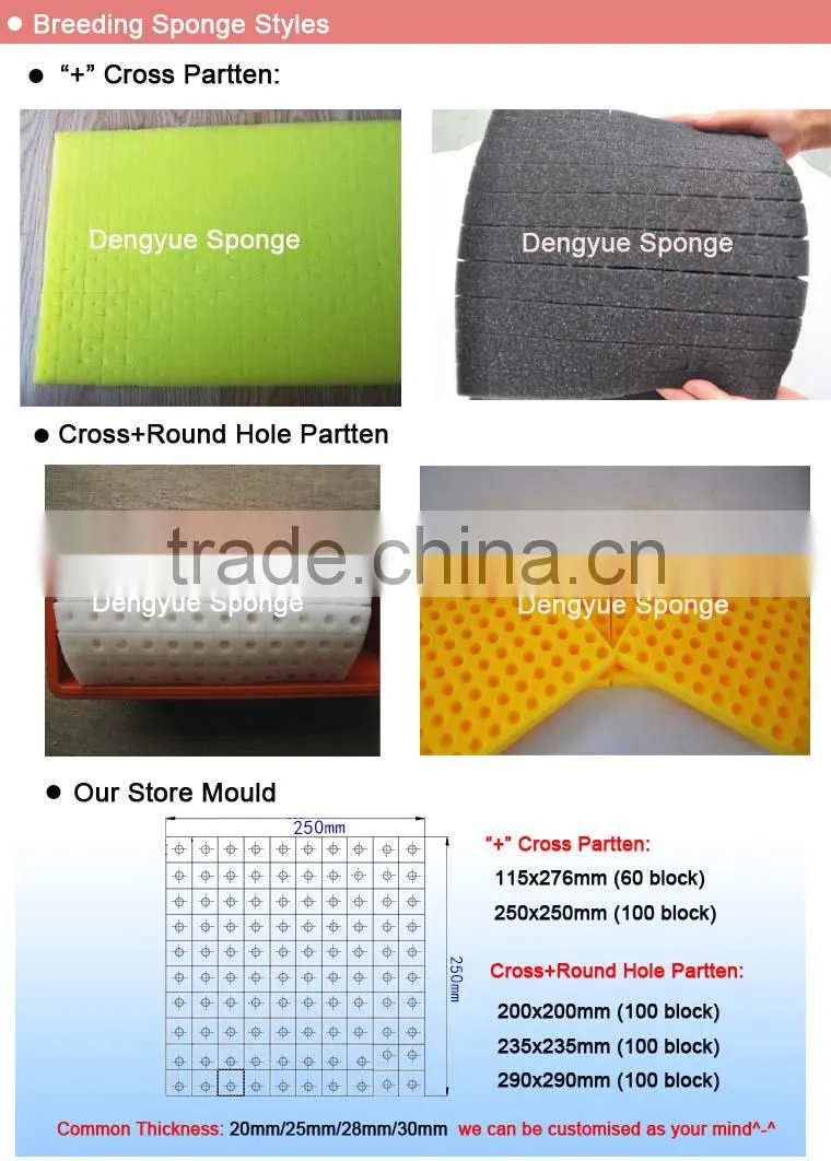 healthy greenhouse stereoscopic Agriculture save space save soil no need fertilizer planting foam
