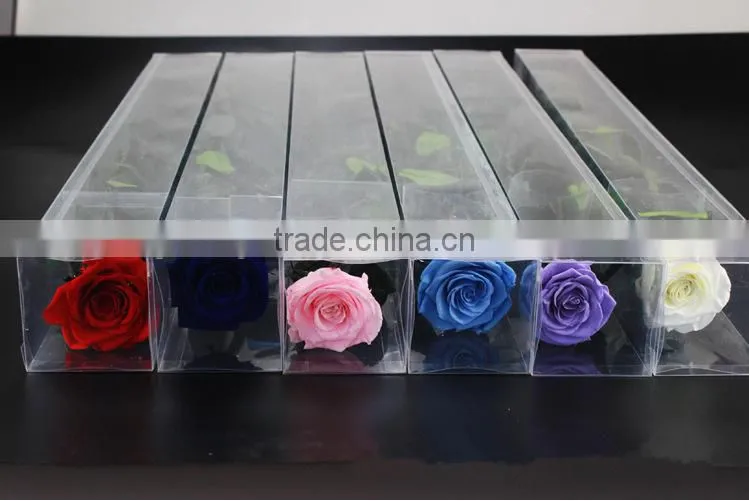 Fresh Cut Flowers Roses Long Lasting Big Rose Flower With Stem