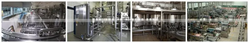 small scale pasteurized dairy production line/processing plant