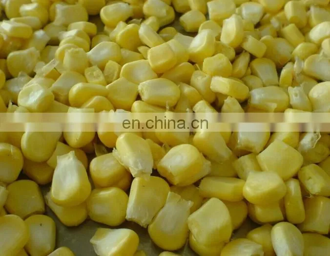 Manufacturer supply maize thresher machine/fresh corn sheller machine/stainless steel sweet fresh corn Threshing