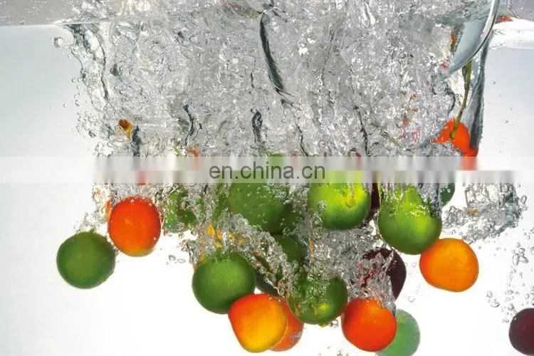Taro seaweed abalone crab cleaning celery cleaner oyster washing machine