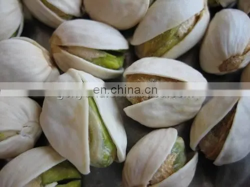 Widely used peanuts roaster/cashew sunflower seeds roasting machine/small nut roasting machine for sale