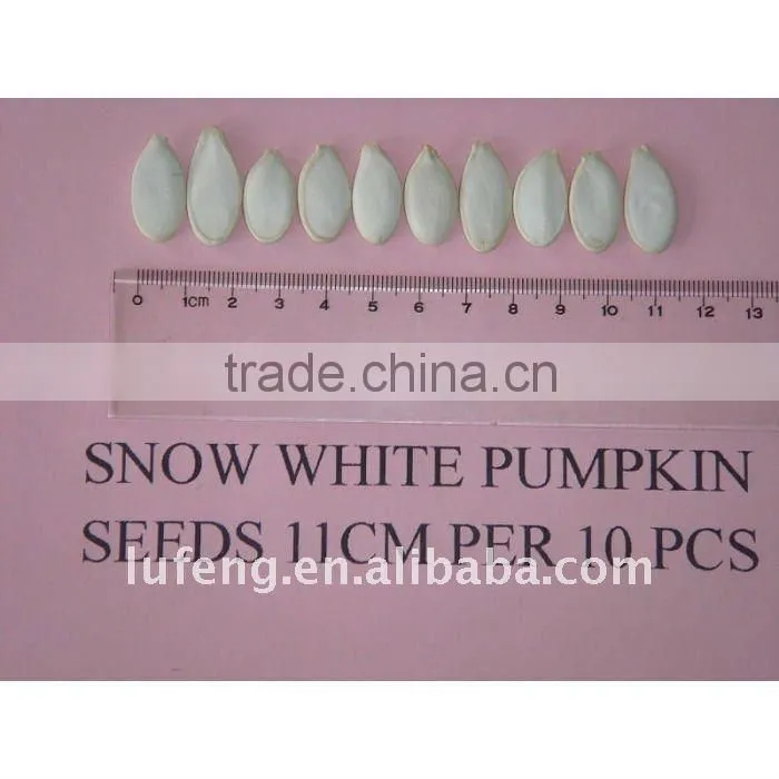 New Crop 2012 Chinese Green Pumpkin Seed kernel