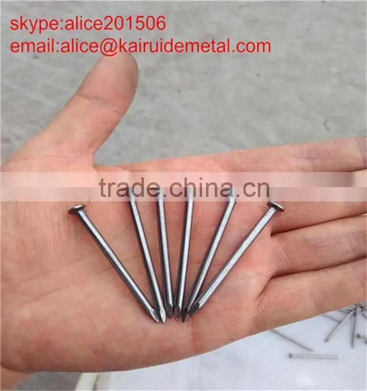 15 years factory competitive price high quality common iron wire nail 2"-6"