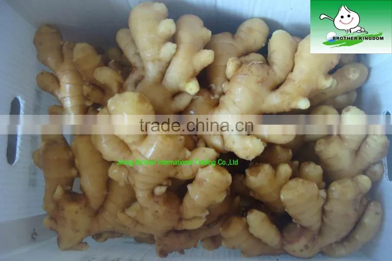 Best quality fresh ginger