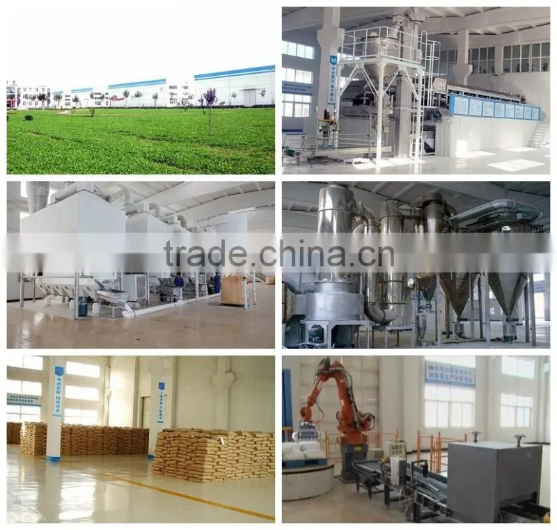 zinc stearate chemical