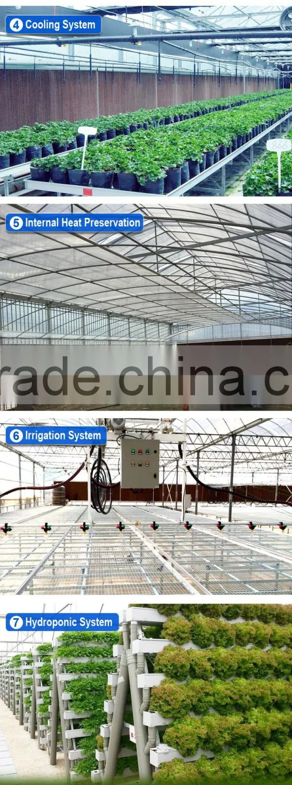 Horticultural Glass Greenhouse multi-span glass greenhouse