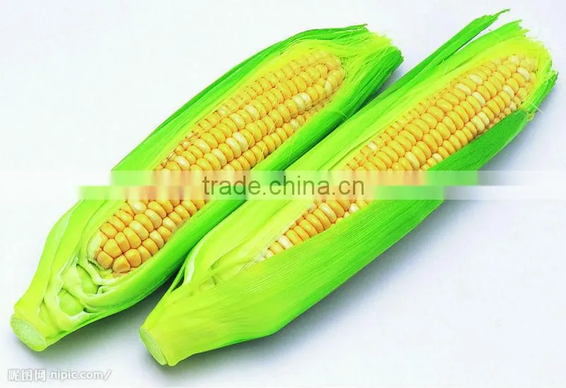 double corn peeler and thresher machine by YT-40