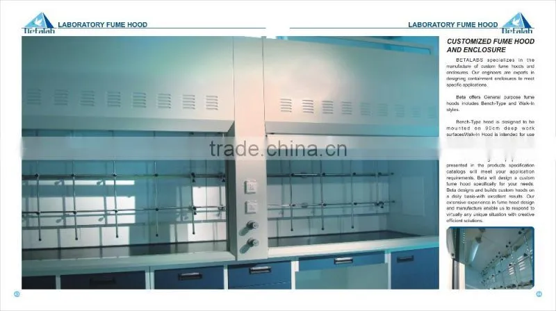 Hospital Furniture Biosafety Cabinet Medical Laboratory Equipment Draft Cupboard Ventilated Case