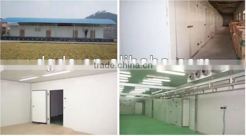 Kitchen cold room / chilling room /walk in cooler