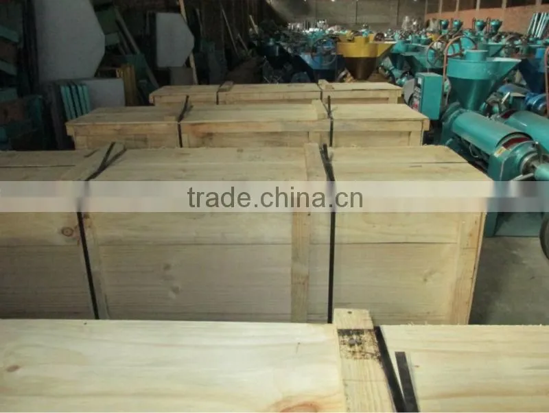 Asia market hot pressing coconut oil extractor