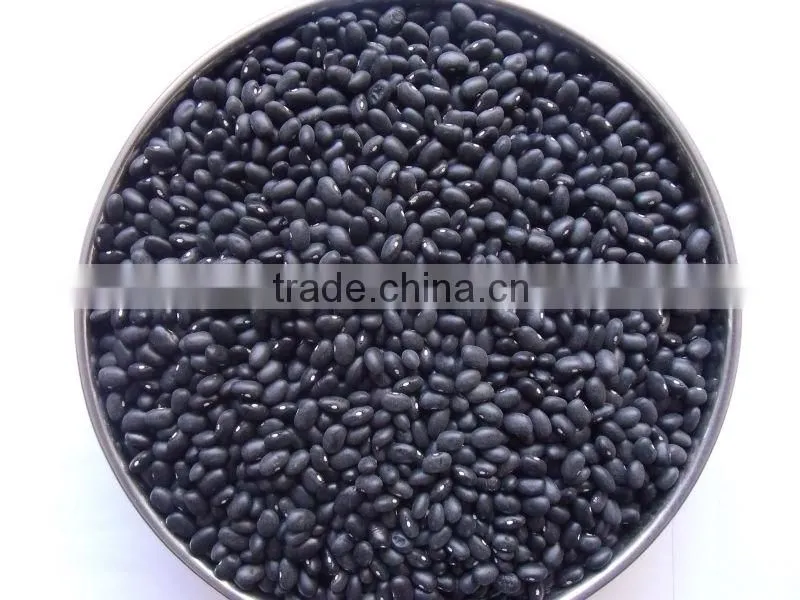 small black kidney bean /black bean price