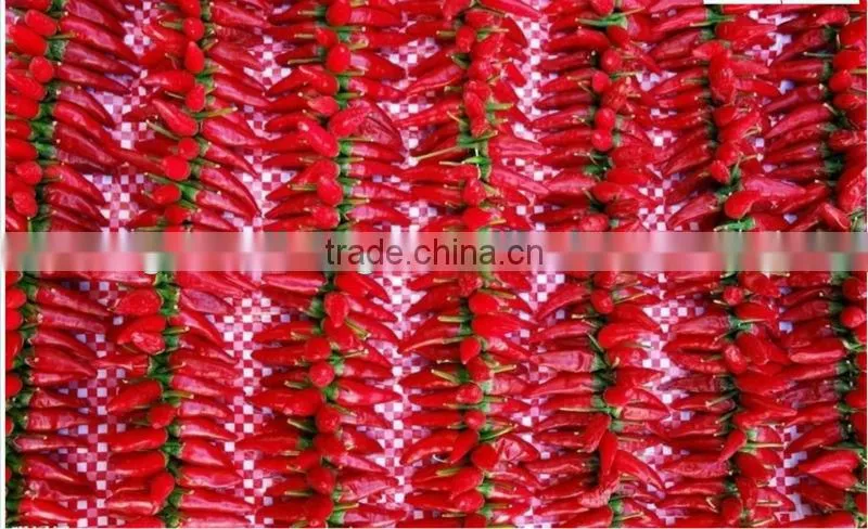 2012 hot red chilli in different package