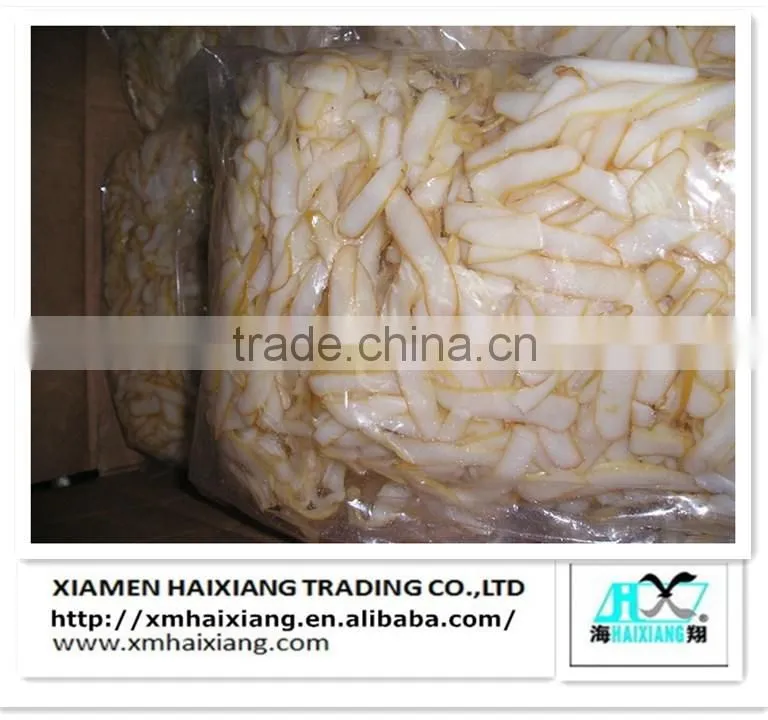 Frozen squid supplier
