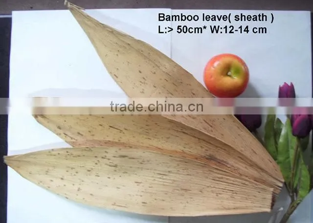 leaves/sheath