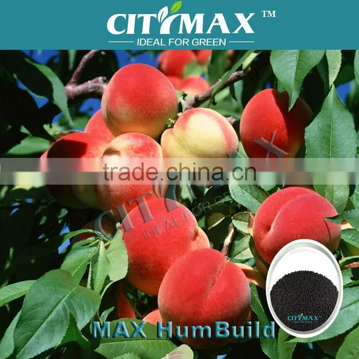 60% Humic Acid Price As Soil Conditional
