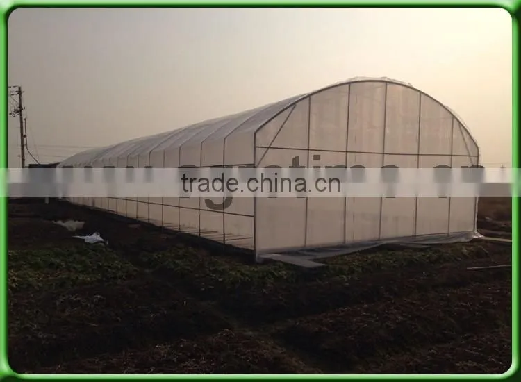 150 Micron Greenhouse film for agricultural