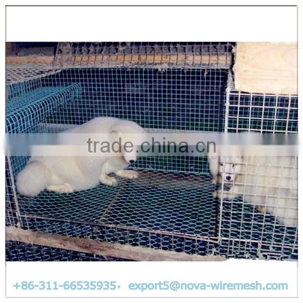 Hot sale galvanized steel wire mesh