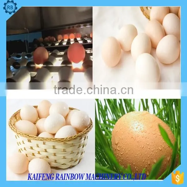 RB Brand Wet Washing Chicken Duck Goose Egg Washing Processing Machine