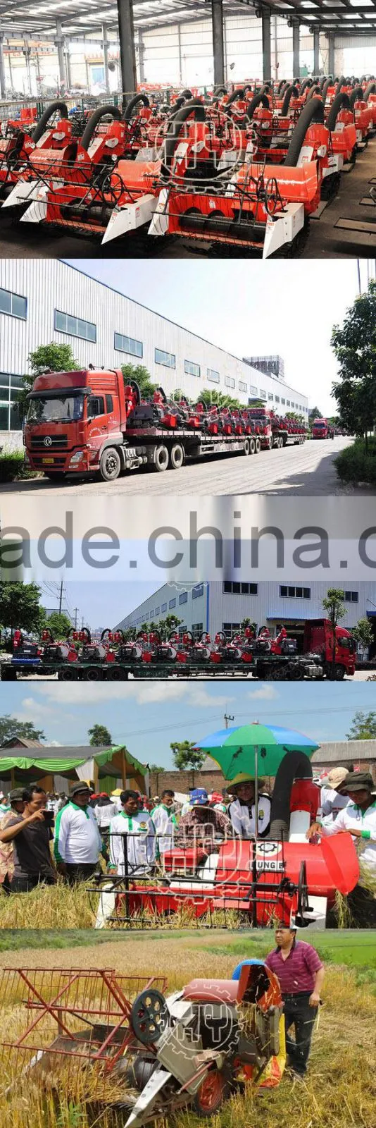 Wholesale Agricultural wheat cutter mini harvester
