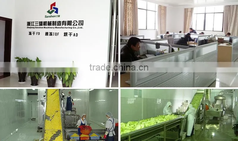 Advanced Material Loading Trays SSJ Vegetable Tray Dryer