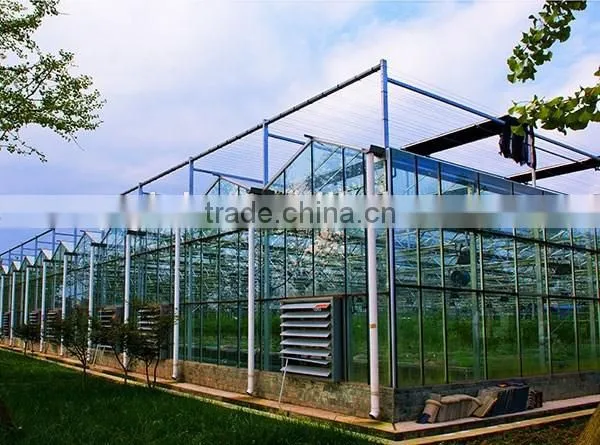 Steel structure building solid greenhouse