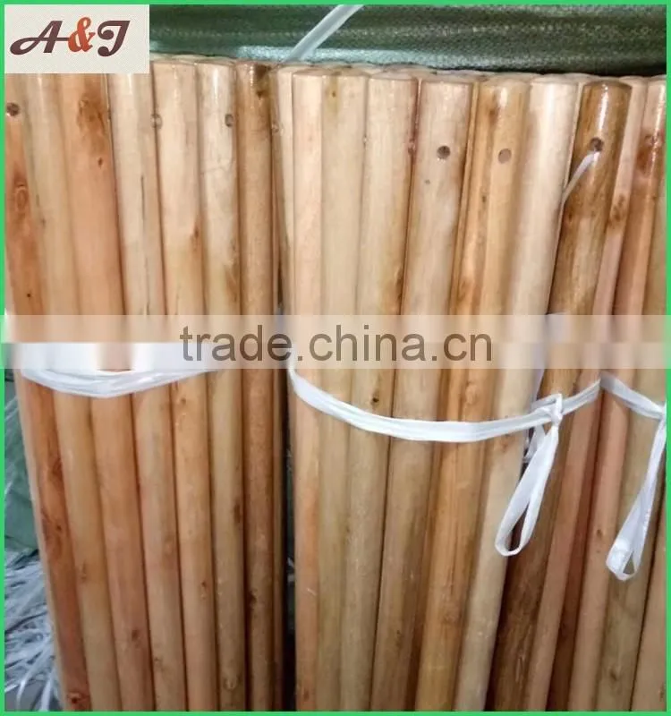 Two times Varnished eucalyptus wooden rake handle tapered end 150*2.5cm
