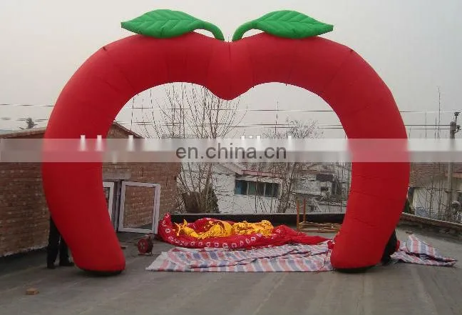 New Dolphin Inflatable Arch,Inflatable Advertising gate for sale
