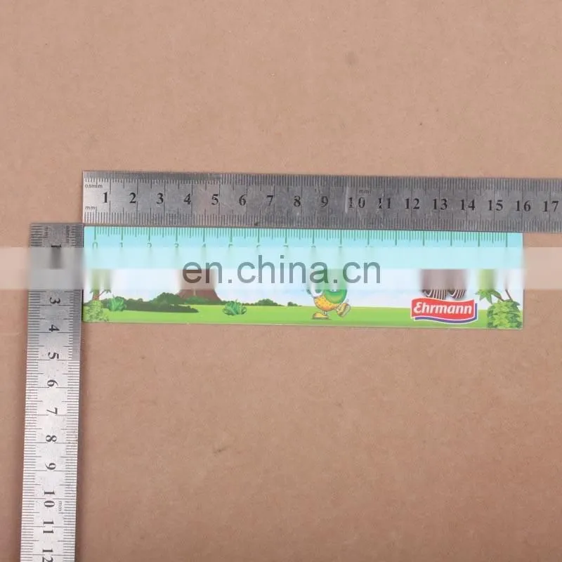 Custom 15cm 30cm PVC PP Flexible Plastic Ruler