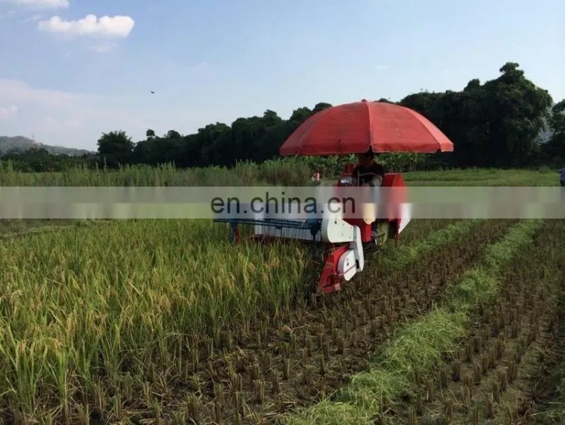Factory price mini rice paddy cutting machine / rice harvest machine / price of rice harvester