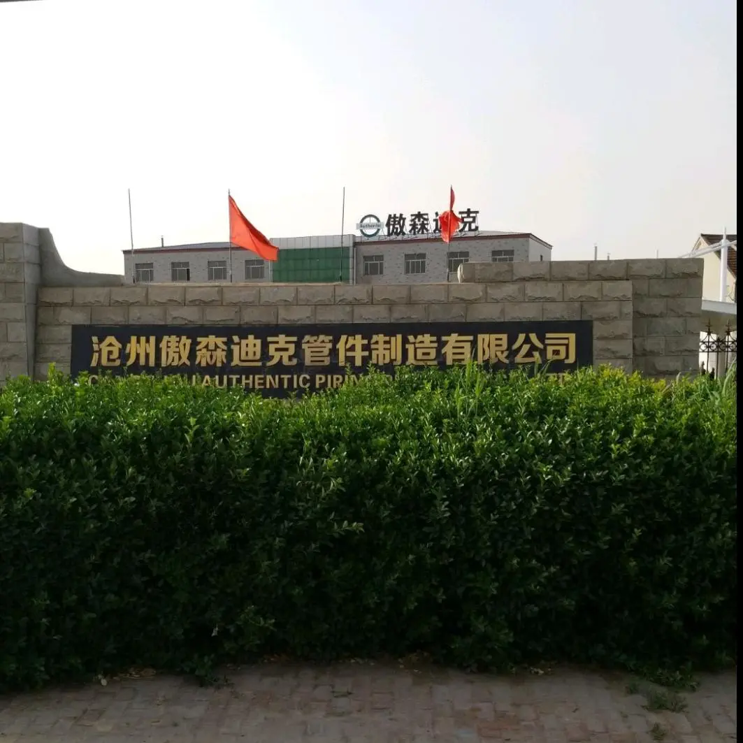 Cangzhou Aosen Dike Pipe Fittings Manufacturing Co., Ltd. company overview - view 1