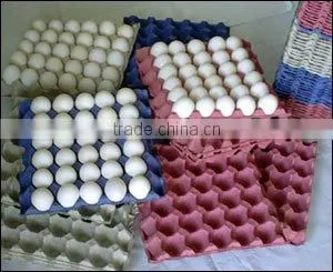 High Quality Paper Pulp Egg Tray Making Machine