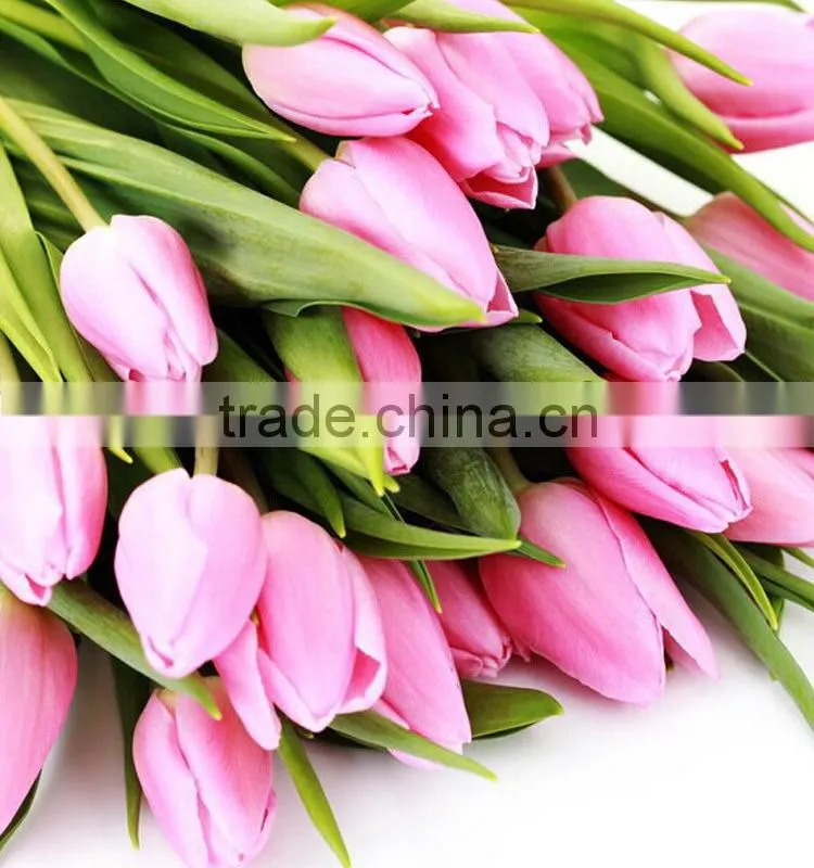 Good quality useful tulips flower lights