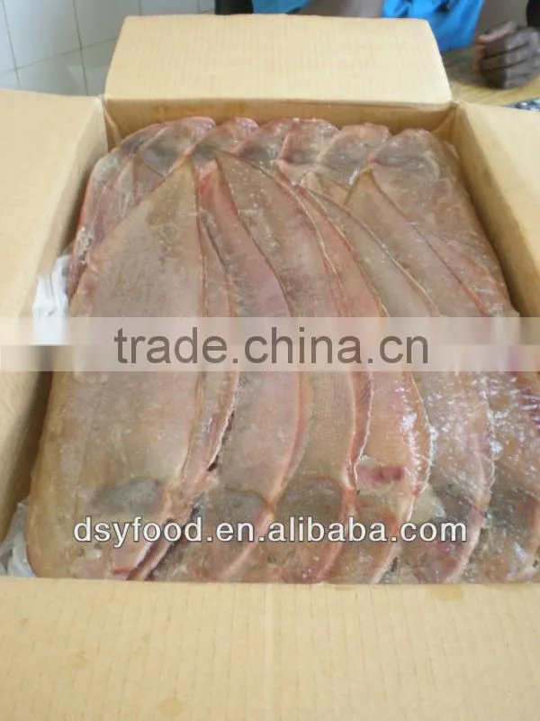 high quality frozen tongue sole fish