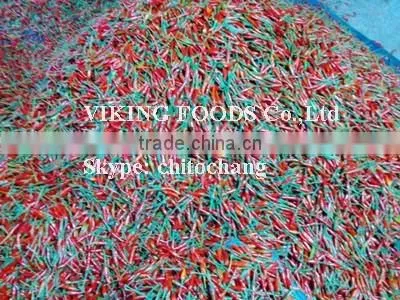 SMALL CHILI HIGH QUALITY FROM VIETNAM
