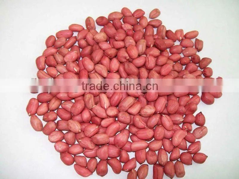 Roasted Shelled Peanut
