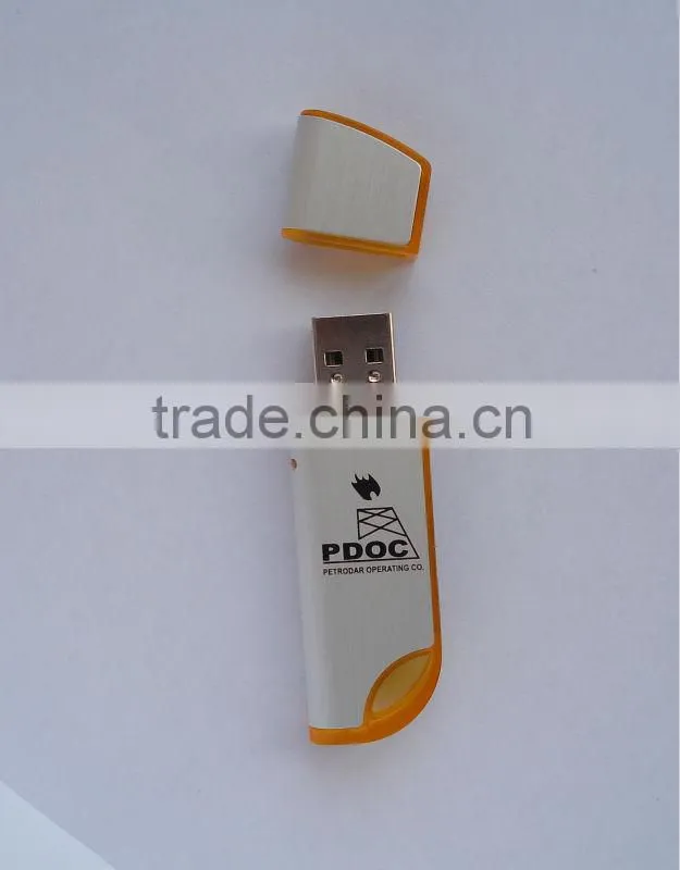 Free logo Plastic USB Flash memory Drive usb flash memory sticks