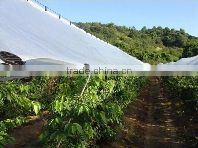 100% virgin HDPE woven greenhouse film /fruit tree cover /200 micron greenhouse film with more than 5 used years