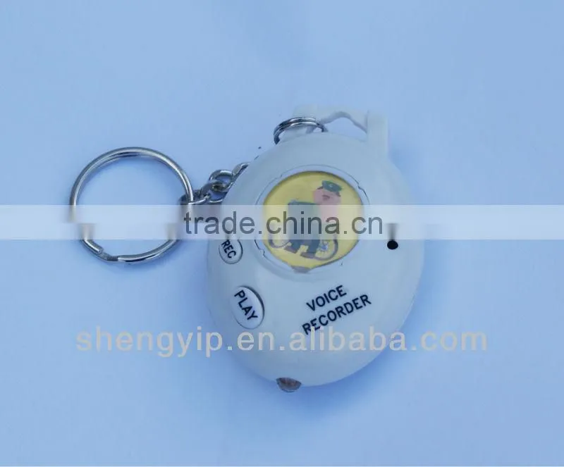 Recordable sound keychain with custom pictures