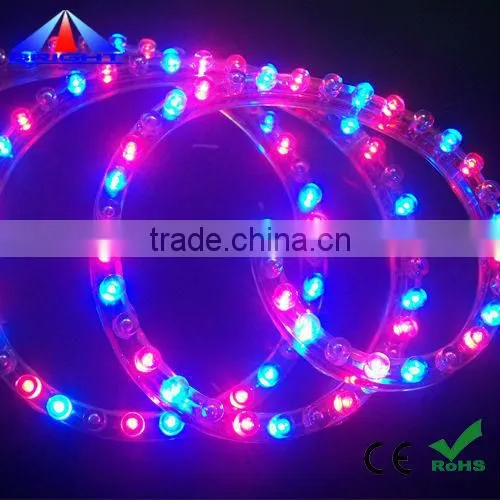 RGB color change waterproof DIP LED Strip Light