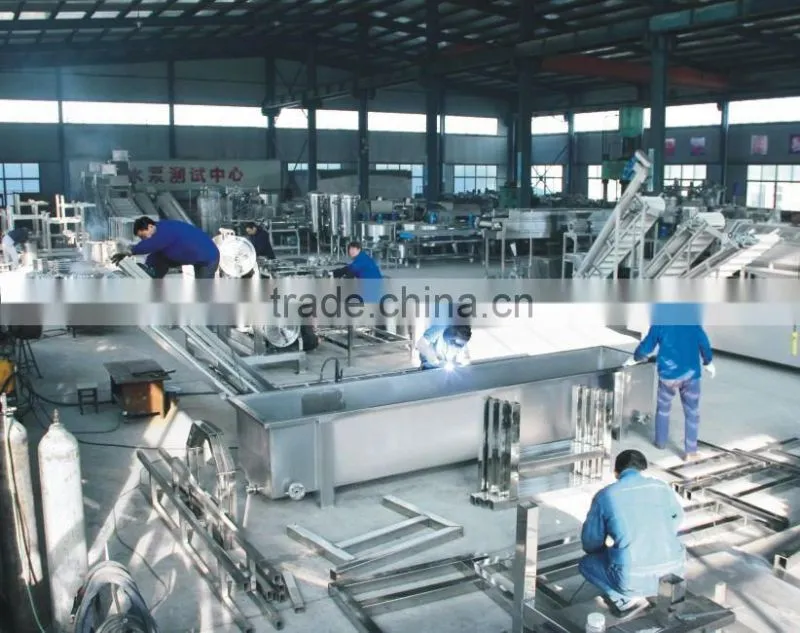 Stainless steel sorting fruit machine