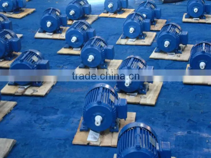 Y Series Three Phase AC Electric Motor
