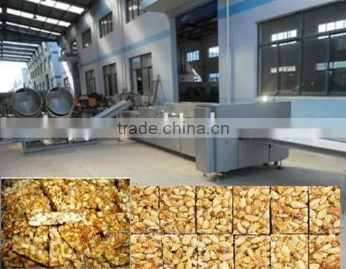 Fully Automatic Peanut Brittle Production Line