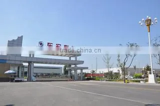 Shandong Donghong Pipe Industry Co., Ltd. company overview - view 3