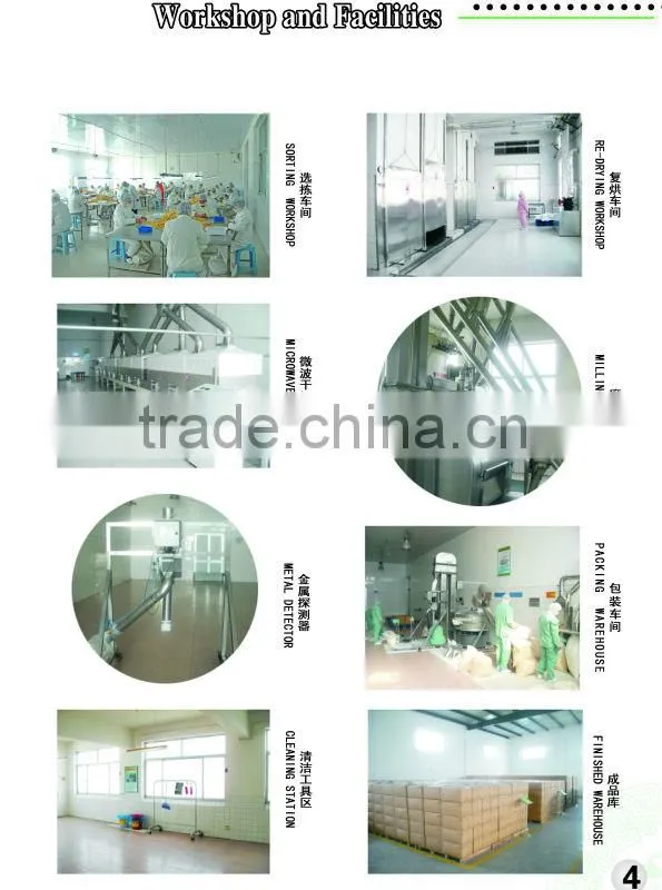 Dehydrated Onion minced powder (6-20 Mesh)