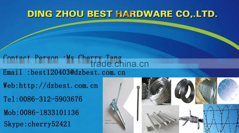 low price common round nail with flat head