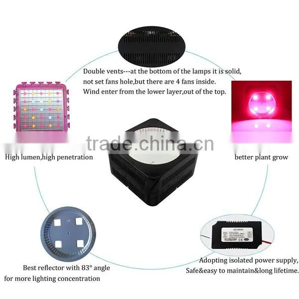 Ip 44 led grow light panel Grow led light full spectrum cob 300watt led plant growth lights best heating lamps for greenhouses