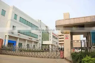 Guangdong Yuetian Technology Industrial Co., Ltd. company overview - view 1