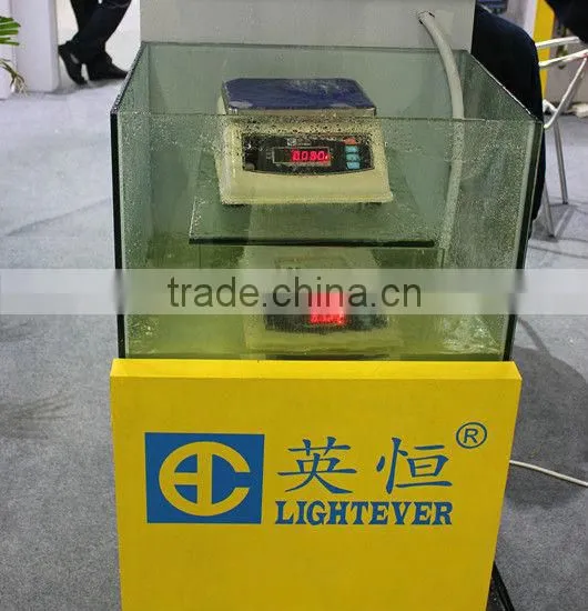 LED display electronic waterproof scale